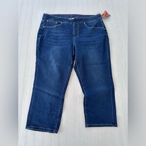 Jag high rise skinny jeans size 14w(2),22w(2),24w,26w(2)